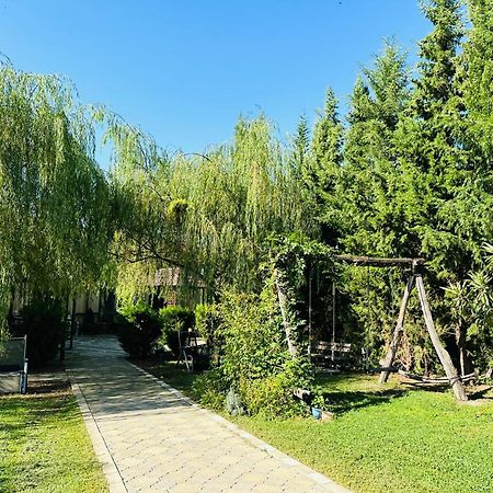Green House Kvareli Εξωτερικό φωτογραφία
