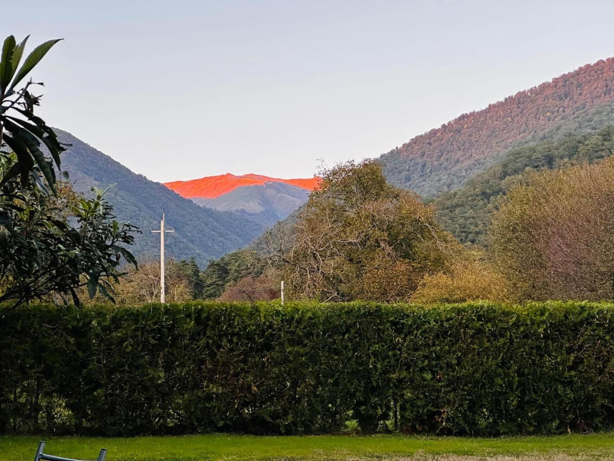 Green House Kvareli Εξωτερικό φωτογραφία