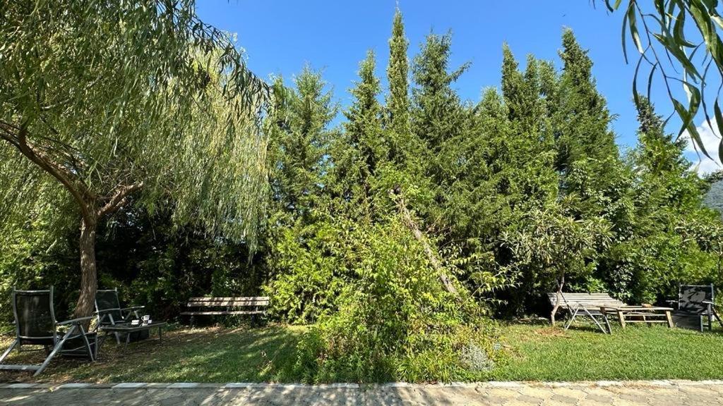 Green House Kvareli Εξωτερικό φωτογραφία