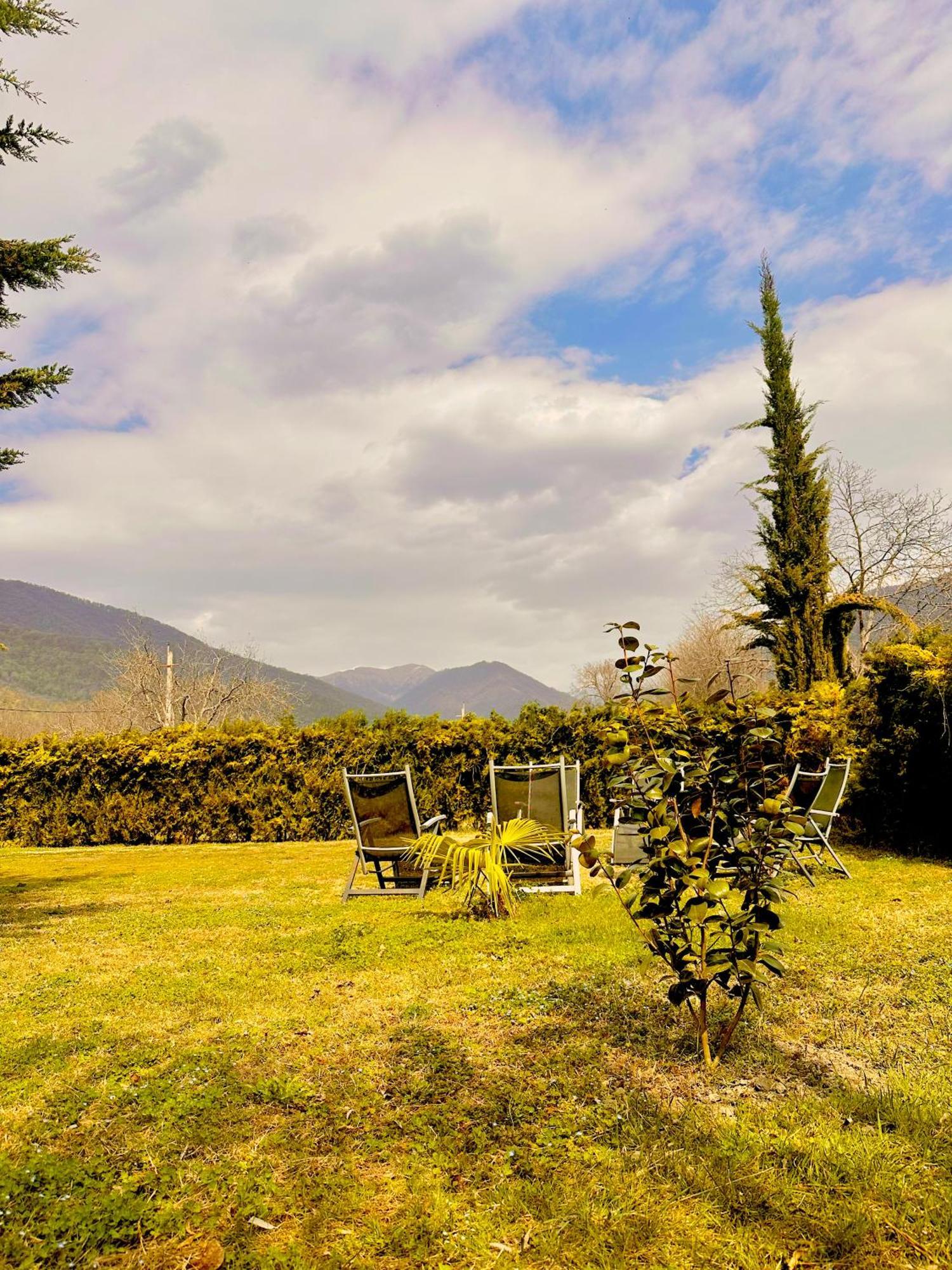 Green House Kvareli Εξωτερικό φωτογραφία