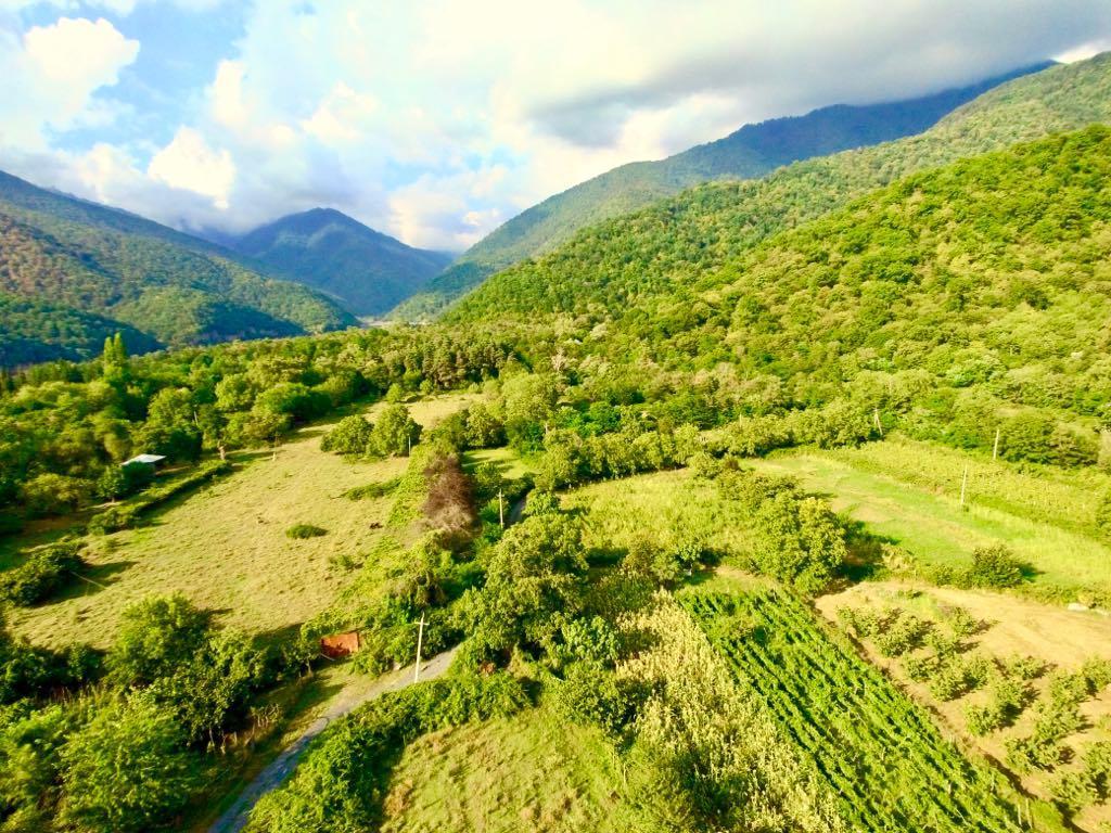 Green House Kvareli Εξωτερικό φωτογραφία